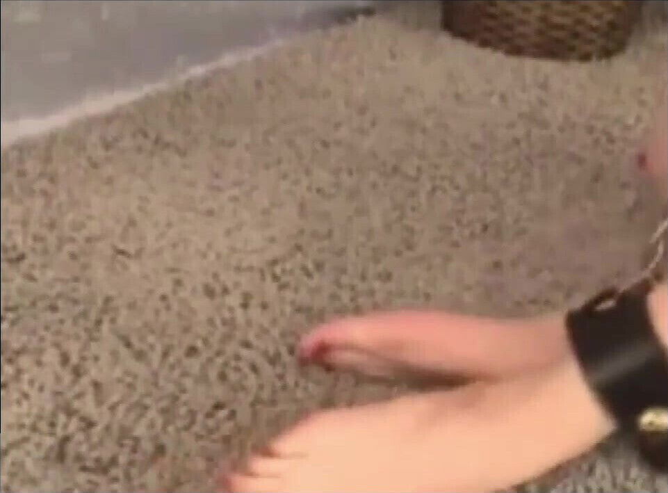 naughty maids need learn lesson