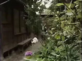 Japanese wife caught husband