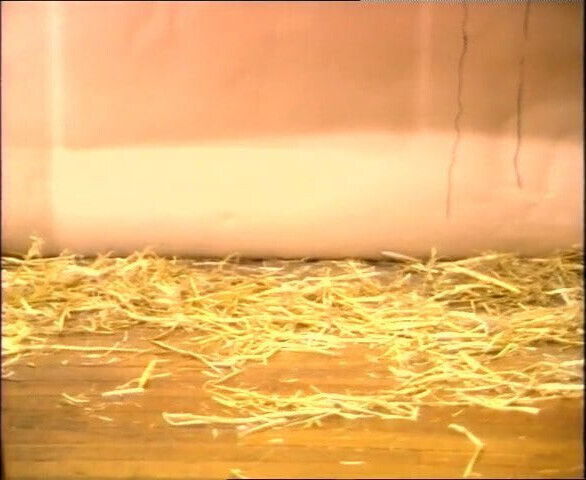 Bounce 1980s Wynn bonanza