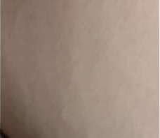 Jugando con su co&ntilde_o y su vibrador