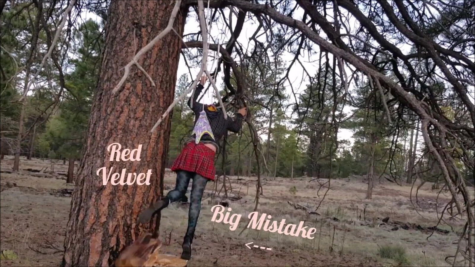 Velvet Hanging Wedgie