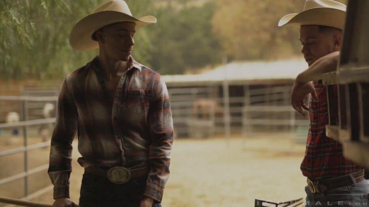 Painful Love Clark Davis Vincent O'Reilly