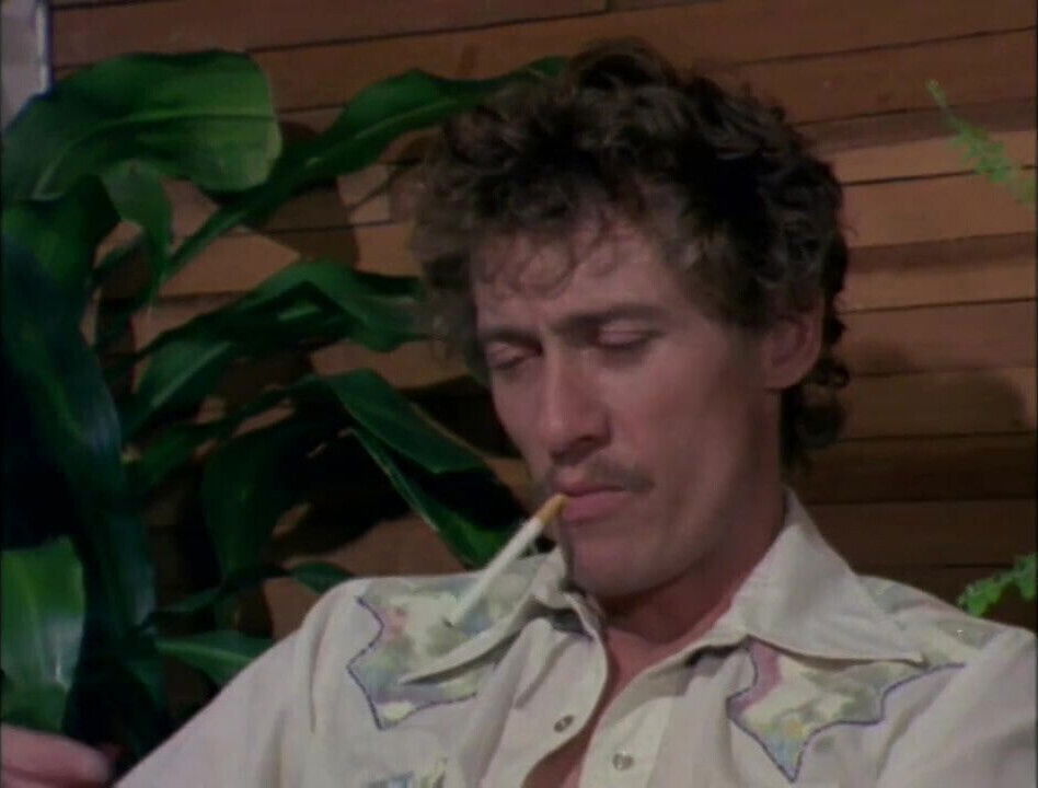 'John Holmes' interview (1980)