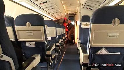 Paris York, flight attendants