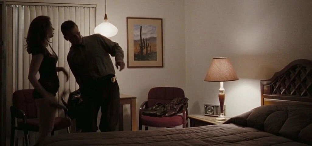 Adams Sunshine Cleaning (2008)