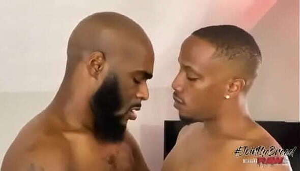 taming black snake venom kreams