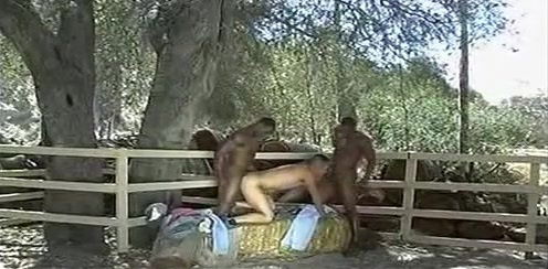 Black Meat White Heat 2