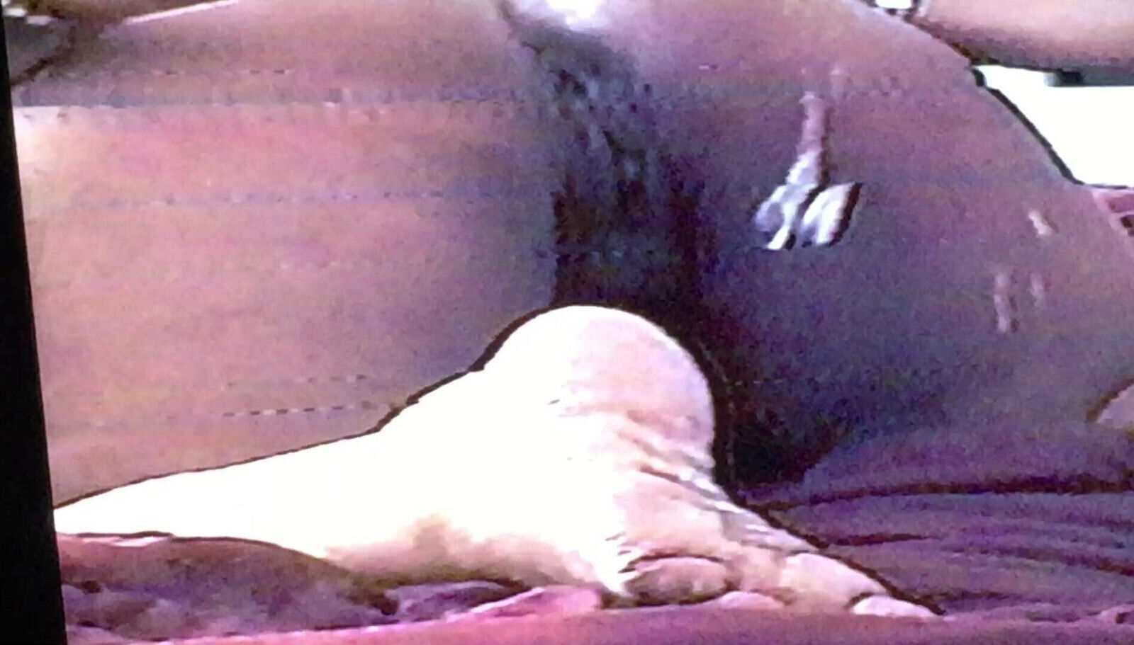 Sucking pussy lickin