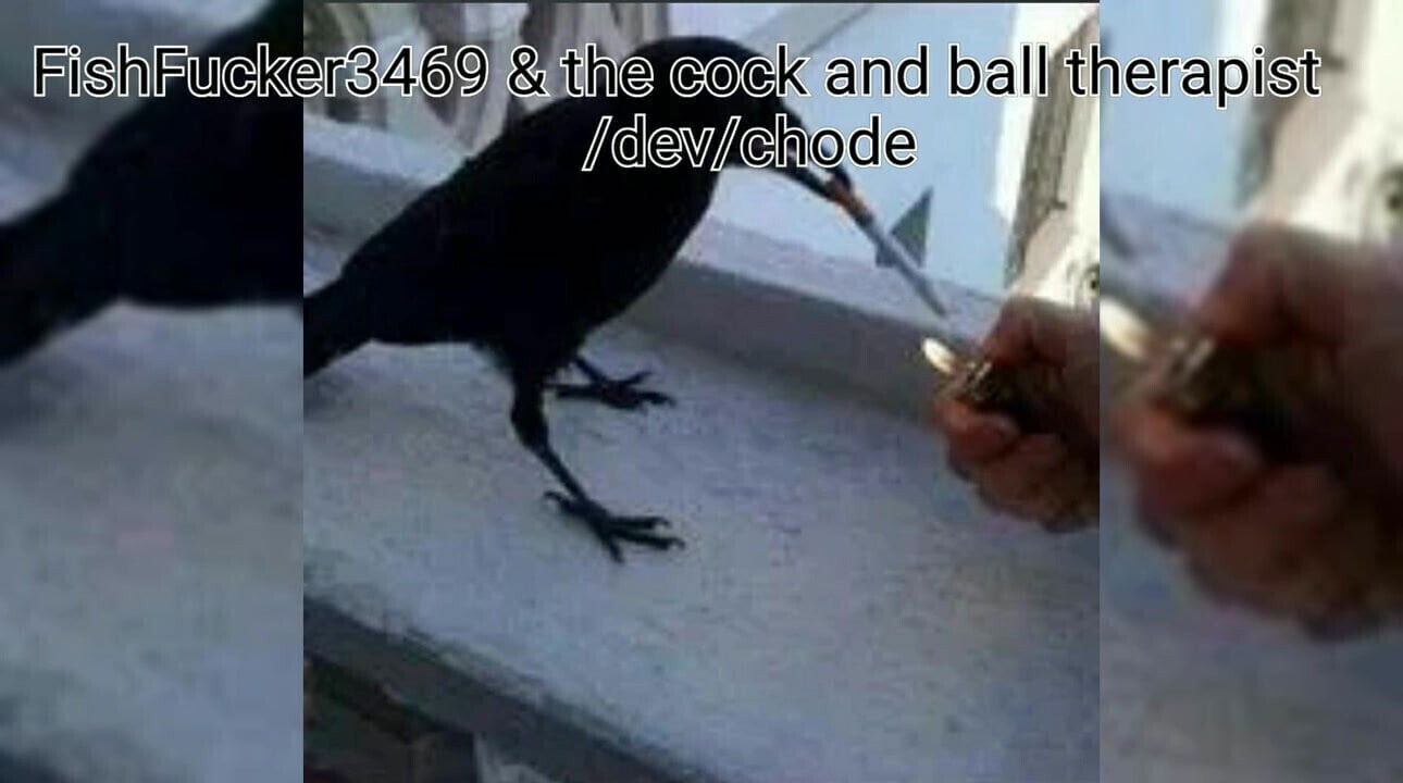 Dev, AZUR3, Luka share some