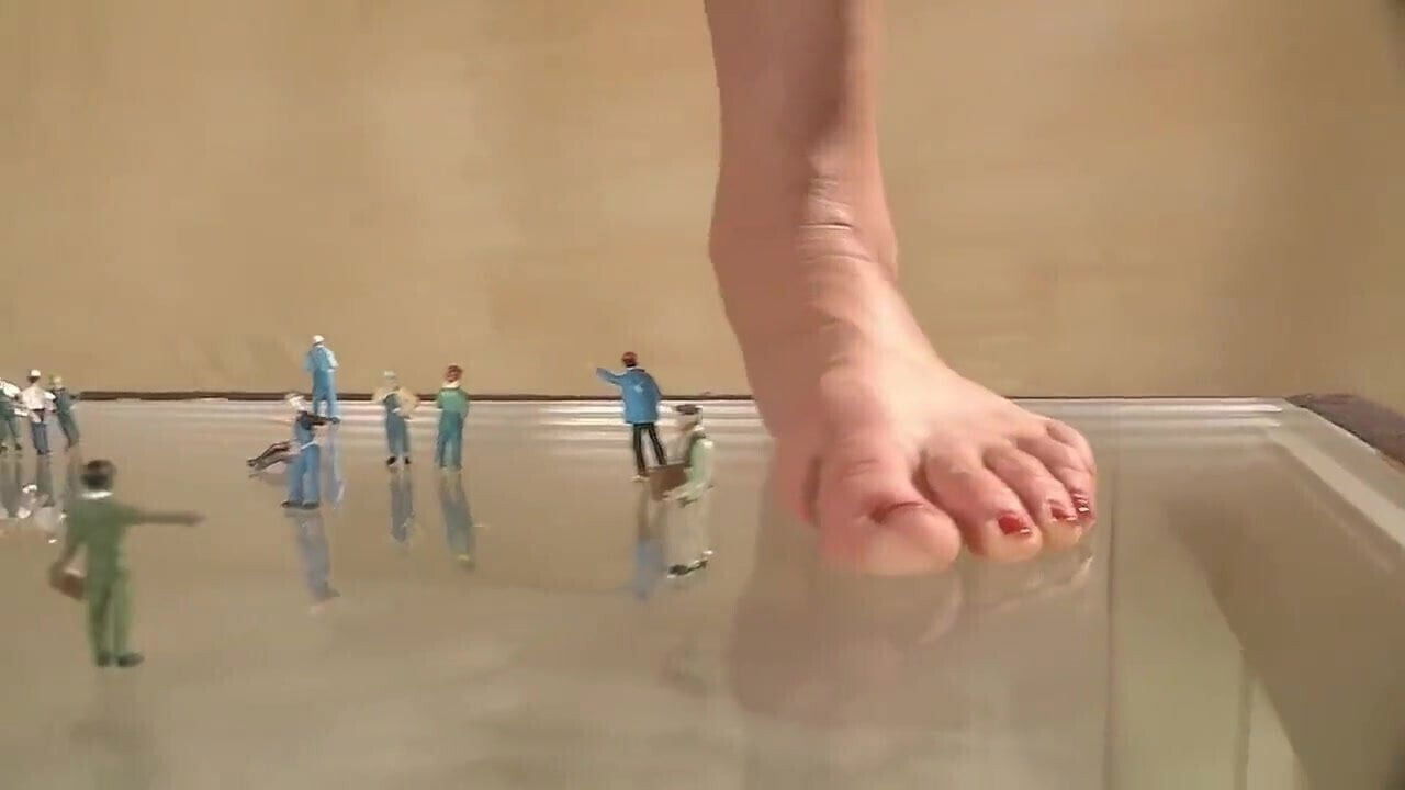 MARIGOLD GIANTESS GOLDMARY