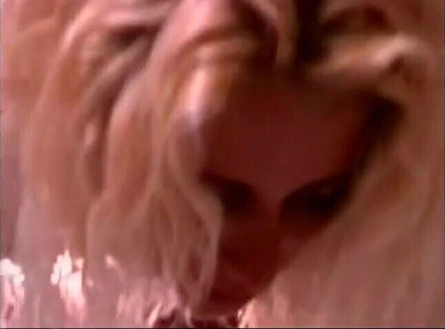 German Bookstore Fuck