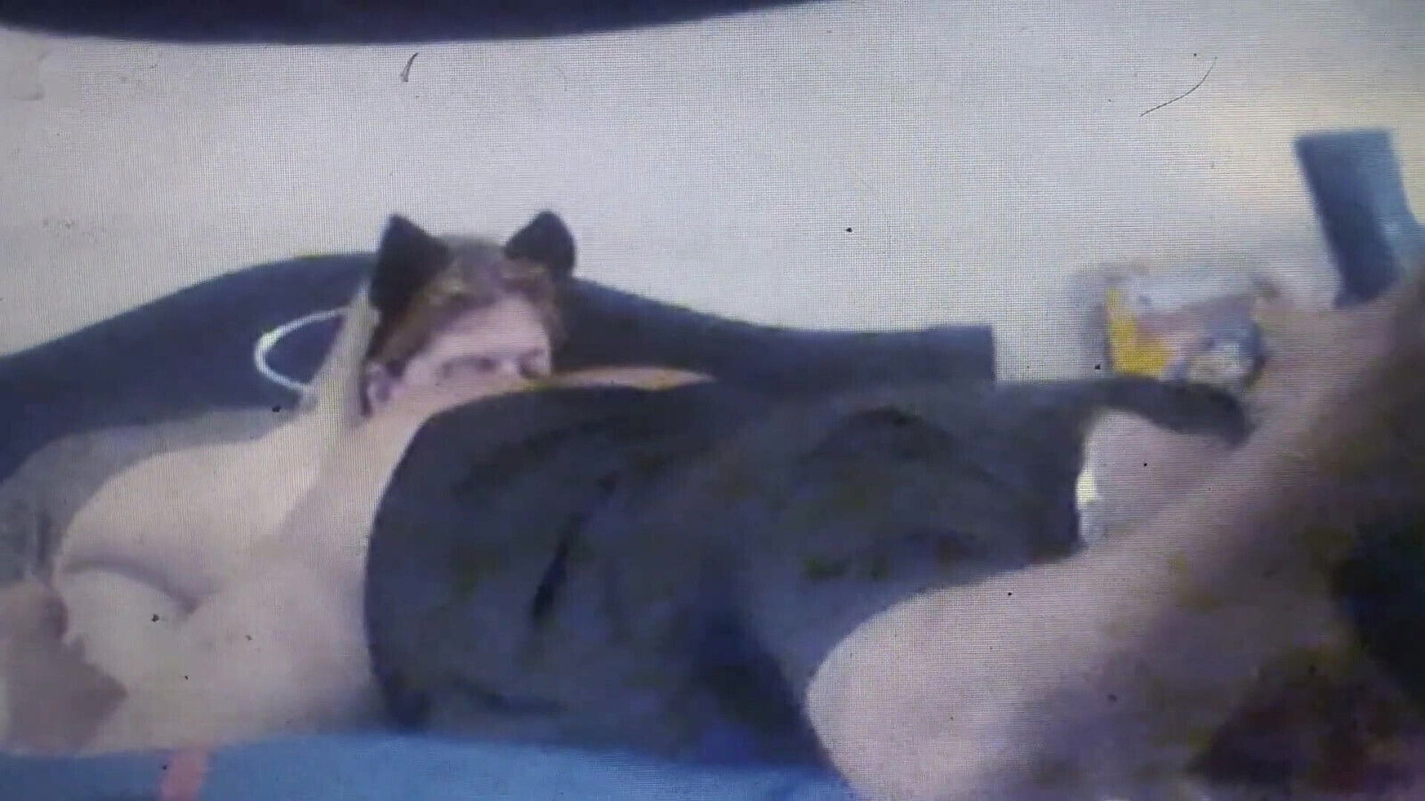 GLAMOURBOI DEVON GETS APRIL APPLEBOTTOM