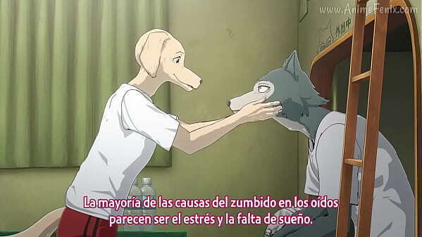 BEASTARS Temp espa&ntilde_ol