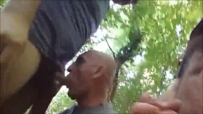 Plan plusieurs dans bois