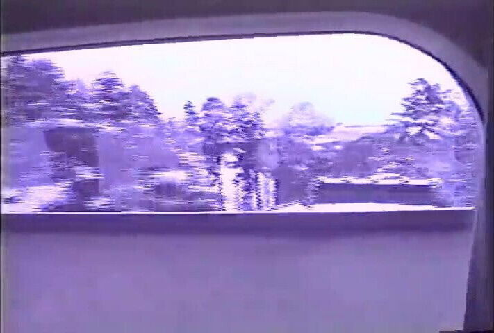 Samson suited daddies