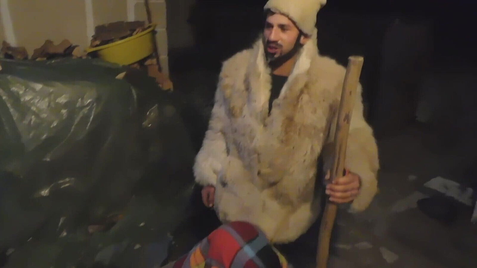 Pulosii capra sarbatori