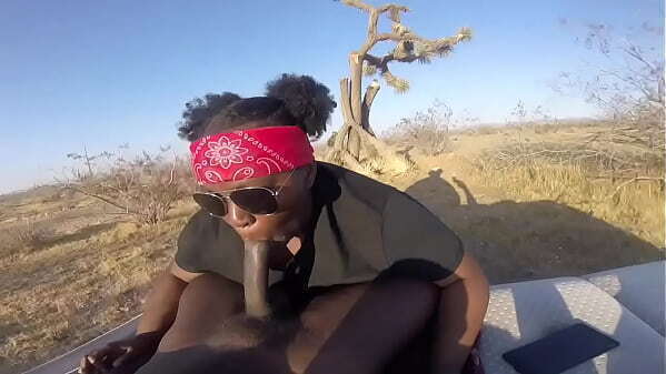 MORE HEAD PUBLIC SWALLOW