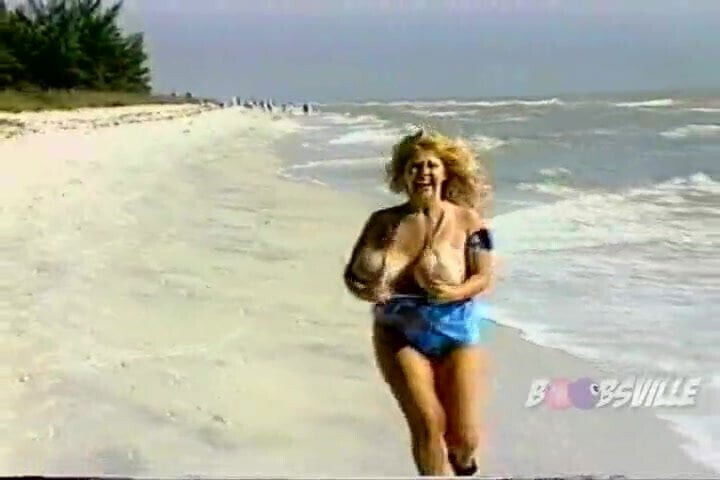 Wild Bill Honey Moons Busty covergirls