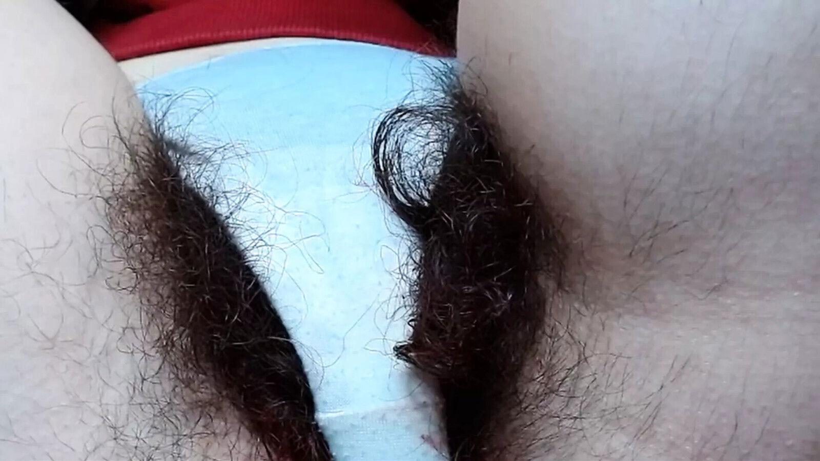 Super hairy Bush