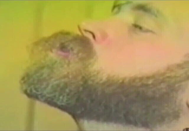 working pig's teats part