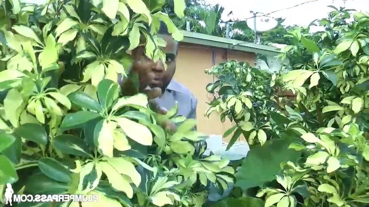 Diva Diva's Eager Beaver