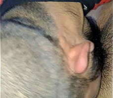 Le mamo la verga a mi vecino