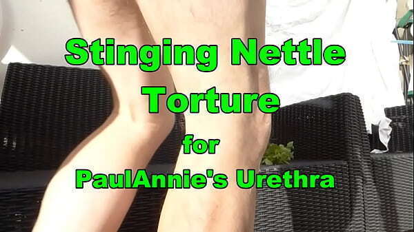 Stinging Nettles vase with Paulannie'_s uretrhra