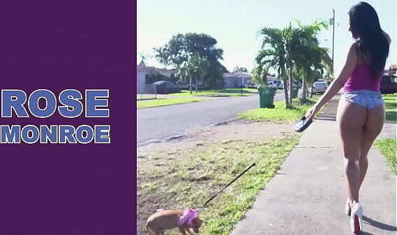 BANGBROS Rose Monroe'_s Simply Another Level (Like Agree)