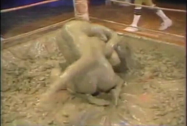 Renee Vicary Denise Schreyer