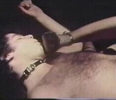 vintage 1978 Skin Flicks part