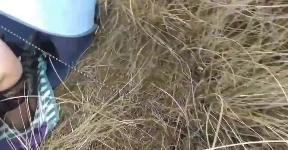 libertine fait partouzer dans dunes