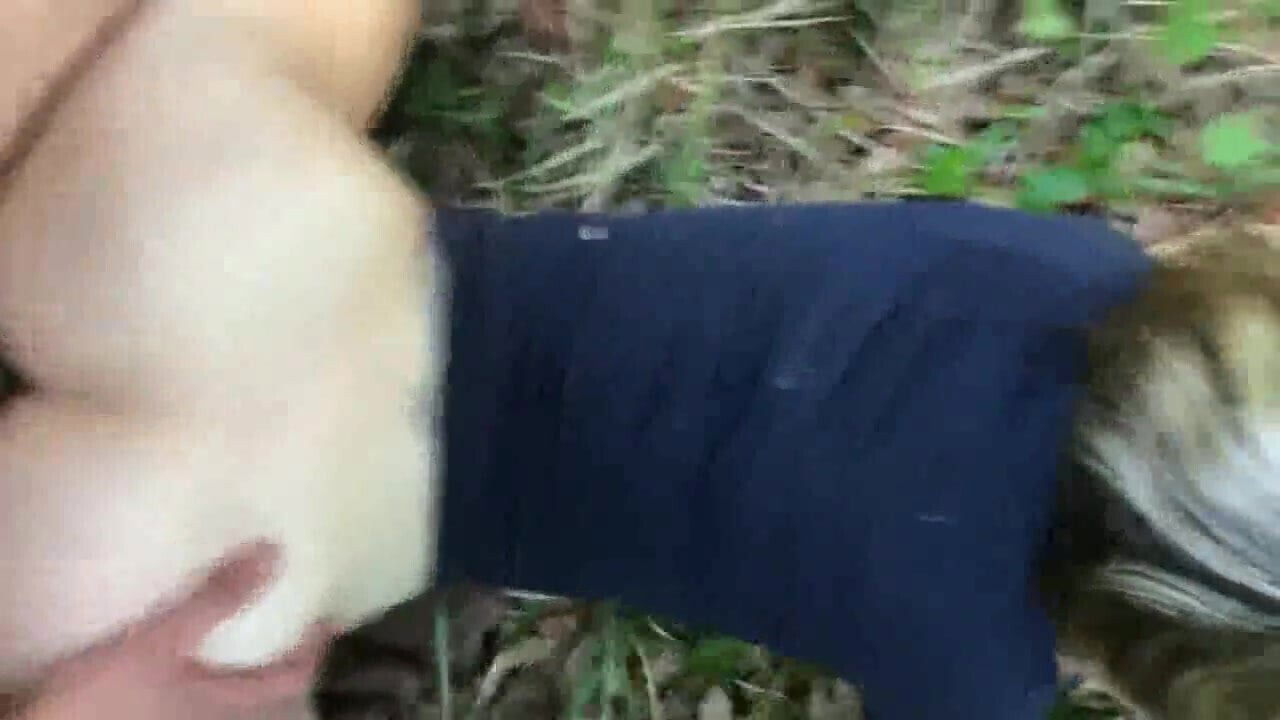 Aujourdhui fait lamour dans bois