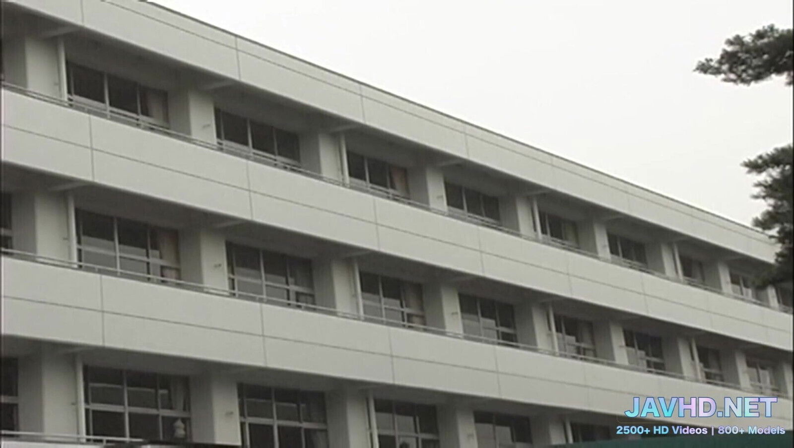 Japanese Schoolgirls Short Skirts