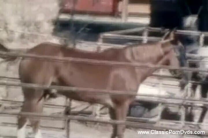 Serious From Seventies Rocks Body