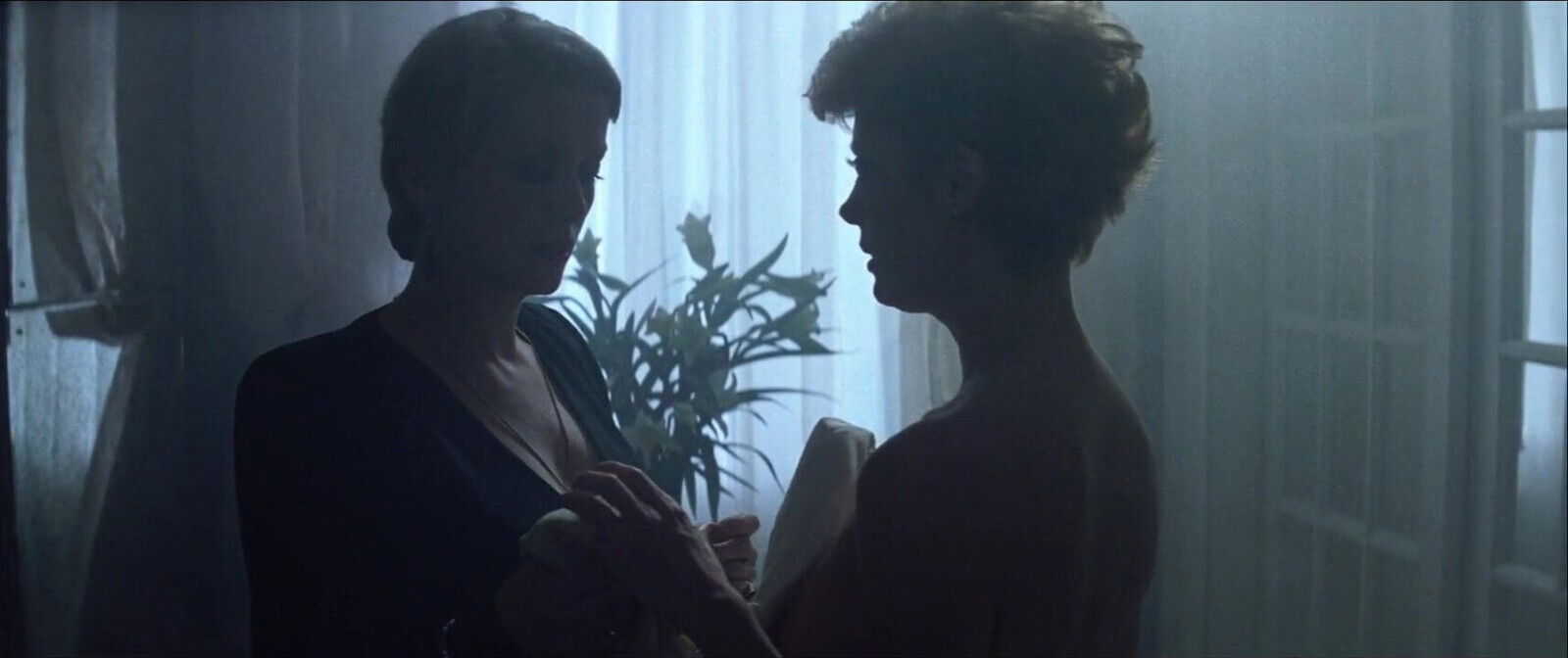 Catherine Deneuve Susan Sarandon from Hunger 1983