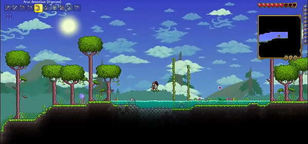 Terrecuaro furros bolas moradas