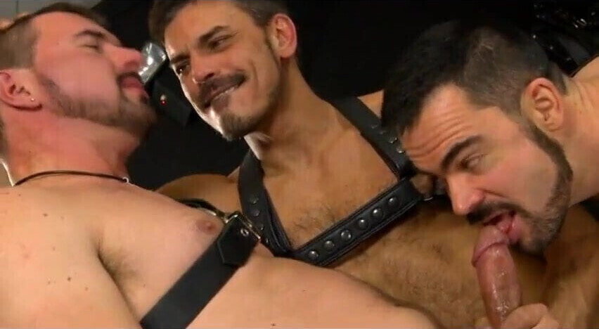 Dolan Wolf, Collin Stone Jake Driver (ICHTF