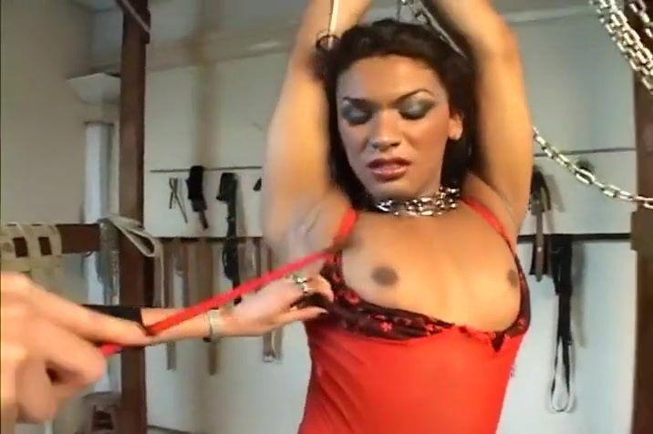 Trannies Are Into Some Out There Shit