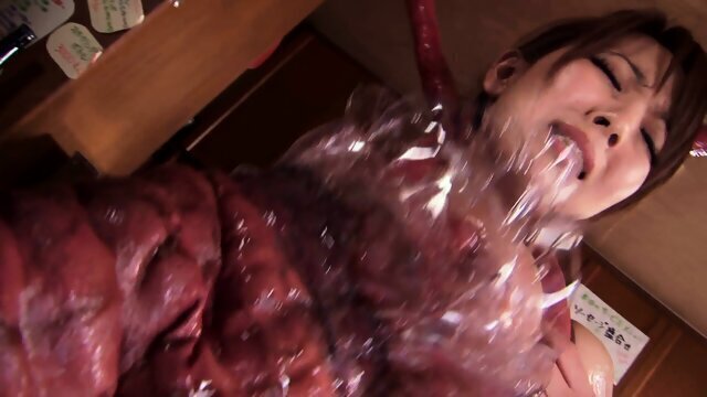 HITOMI TENTACLES PT.2