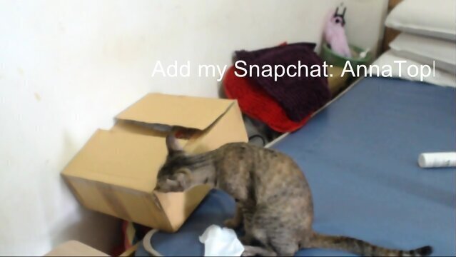 Pussy Clit Lick Untill Cums