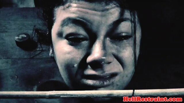 Bdsm dominated maledom