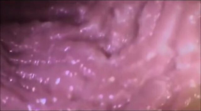 Cums Pussy (Internal View)