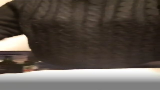 french language titties periscope