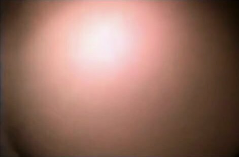 Crying bitch cant take