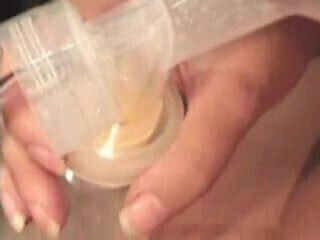 A new portion of milk