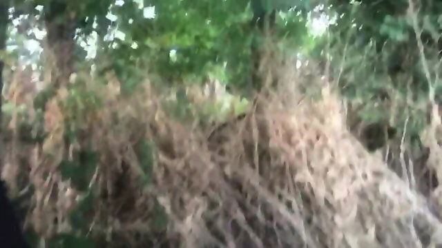 Like Showing Public Part