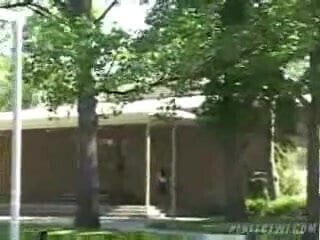 Backseat Bangers Domino