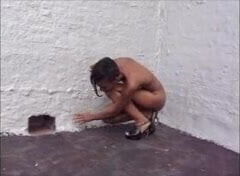 The new N A O M I Campbell