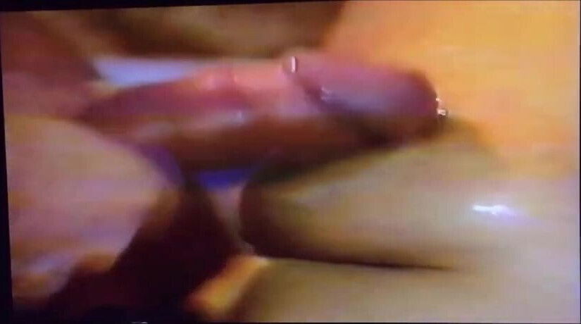 Madame Fontaine's kitten