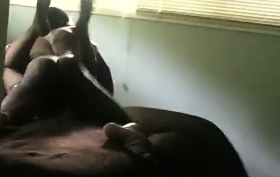 Cuckold Wife Bull Startet Ohne Mann